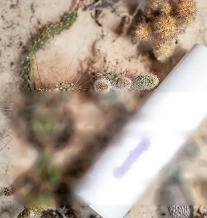 Naturkosmetik-Produkt vor Kakteen in warmem Sandlicht